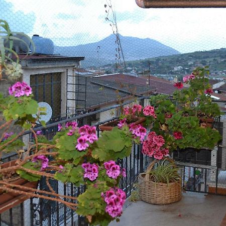 B&B Jolly House Bolognetta Exterior photo